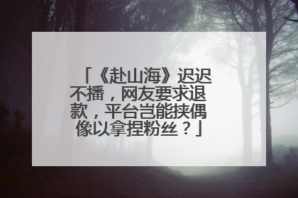 《赴山海》迟迟不播，网友要求退款，平台岂能挟偶像以拿捏粉丝？