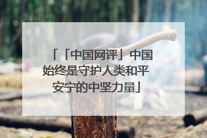 「中国网评」中国始终是守护人类和平安宁的中坚力量
