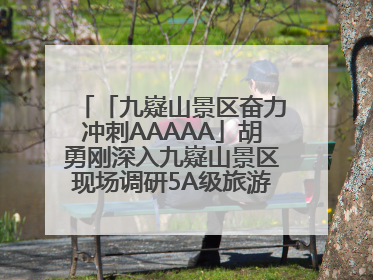 「九嶷山景区奋力冲刺AAAAA」胡勇刚深入九嶷山景区现场调研5A级旅游景区创建工作
