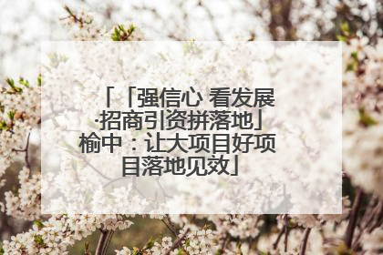 「强信心 看发展·招商引资拼落地」榆中：让大项目好项目落地见效