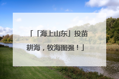 「海上山东」投苗耕海，牧海图强！