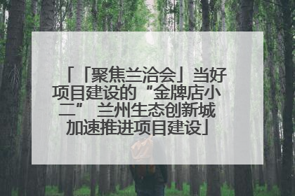 「聚焦兰洽会」当好项目建设的“金牌店小二” 兰州生态创新城加速推进项目建设