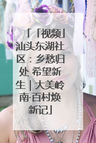 「视频」汕头东湖社区：乡愁归处 希望新生｜大美岭南·百村焕新记