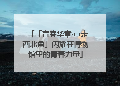 「青春华章·重走西北角」闪耀在博物馆里的青春力量