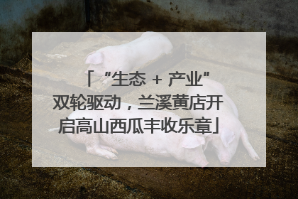 “生态 + 产业”双轮驱动，兰溪黄店开启高山西瓜丰收乐章