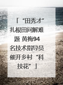 “田秀才”扎根田间解难题 黄梅94名技术指导员催开乡村“科技花”