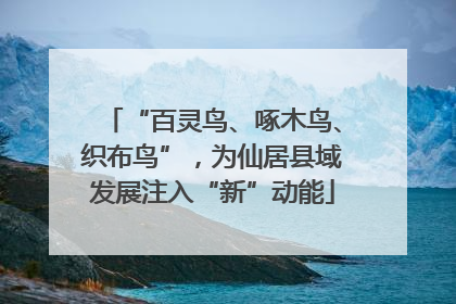 “百灵鸟、啄木鸟、织布鸟”，为仙居县域发展注入“新”动能