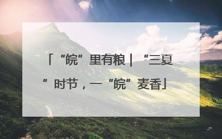 “皖”里有粮｜“三夏”时节，一“皖”麦香