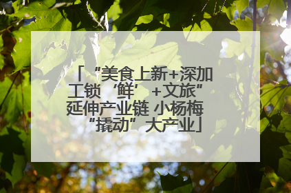 “美食上新+深加工锁‘鲜’+文旅”延伸产业链 小杨梅“撬动”大产业