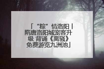 “粽”情洛阳丨隋唐洛阳城宠客升级 背诵《离骚》免费游览九洲池