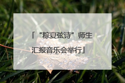 “粽夏弦诗”师生汇报音乐会举行