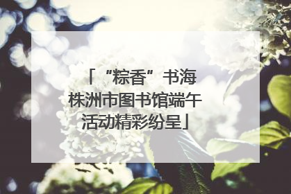 “粽香”书海 株洲市图书馆端午活动精彩纷呈