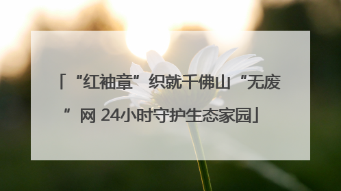 “红袖章”织就千佛山“无废”网 24小时守护生态家园
