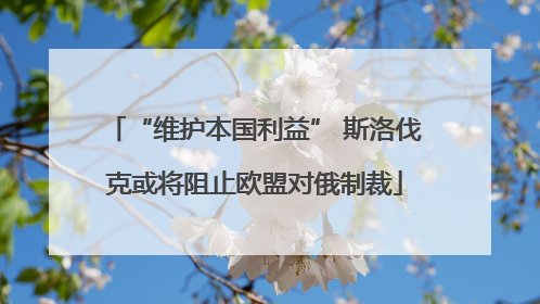 “维护本国利益” 斯洛伐克或将阻止欧盟对俄制裁