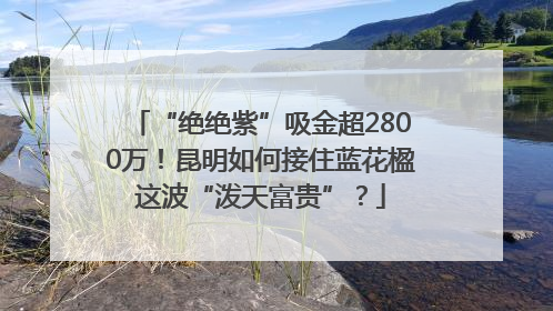 “绝绝紫”吸金超2800万！昆明如何接住蓝花楹这波“泼天富贵”？