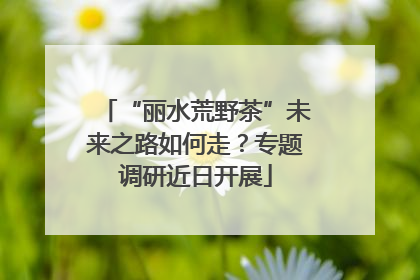 “丽水荒野茶”未来之路如何走？专题调研近日开展