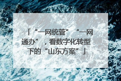 “一网统管”“一网通办”，看数字化转型下的“山东方案”