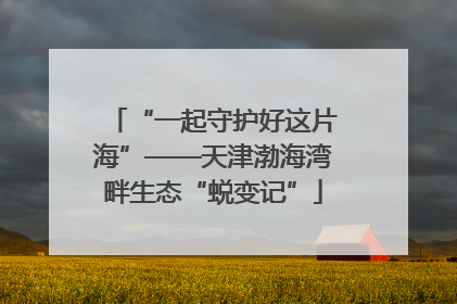 “一起守护好这片海”——天津渤海湾畔生态“蜕变记”