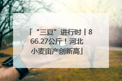 “三夏”进行时丨866.27公斤!河北小麦亩产创新高