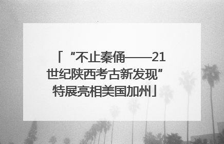 “不止秦俑——21世纪陕西考古新发现”特展亮相美国加州