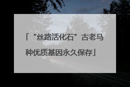 “丝路活化石”古老马种优质基因永久保存