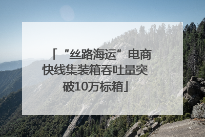 “丝路海运”电商快线集装箱吞吐量突破10万标箱