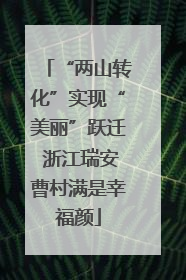 “两山转化”实现“美丽”跃迁 浙江瑞安曹村满是幸福颜