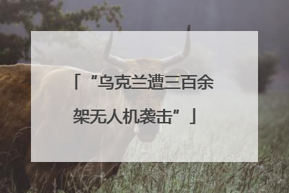 “乌克兰遭三百余架无人机袭击”