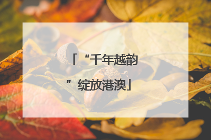 “千年越韵”绽放港澳