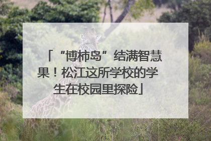 “博柿岛”结满智慧果！松江这所学校的学生在校园里探险