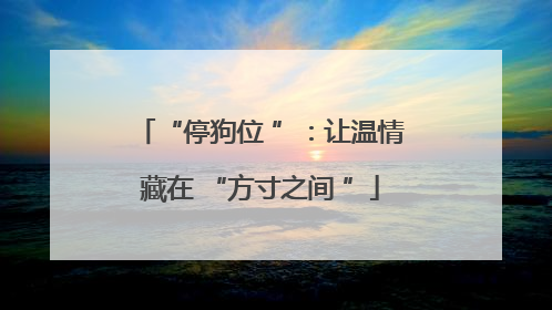 “停狗位 ”：让温情藏在 “方寸之间 ”