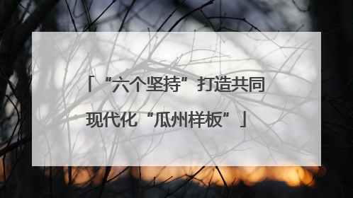“六个坚持”打造共同现代化“瓜州样板”