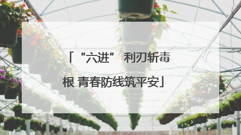 “六进” 利刃斩毒根 青春防线筑平安