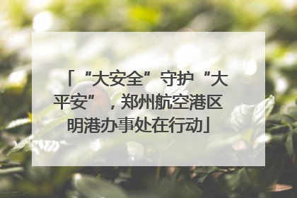 “大安全”守护“大平安”，郑州航空港区明港办事处在行动