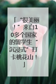 “很美丽！”来自10多个国家的留学生“沉浸式”打卡桃花山！