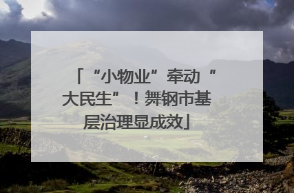 “小物业”牵动“大民生”！舞钢市基层治理显成效