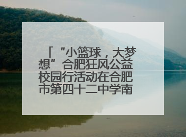 “小篮球，大梦想”合肥狂风公益校园行活动在合肥市第四十二中学南城分校圆满落幕