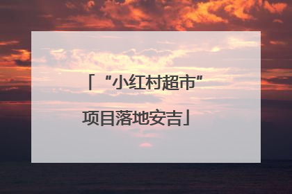 “小红村超市”项目落地安吉