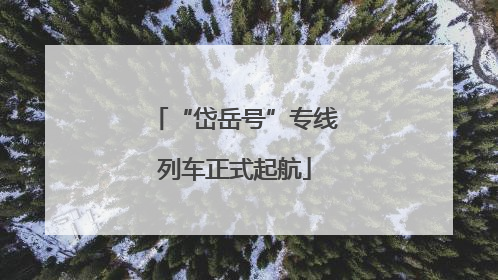 “岱岳号”专线列车正式起航