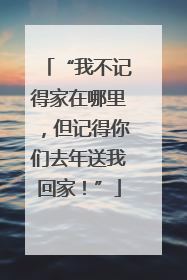 “我不记得家在哪里，但记得你们去年送我回家！”