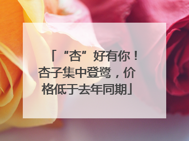 “杏”好有你！杏子集中登鹭，价格低于去年同期