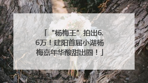 “杨梅王”拍出6.6万！建阳首届小湖杨梅嘉年华酸甜出圈！
