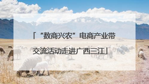 “数商兴农”电商产业带交流活动走进广西三江