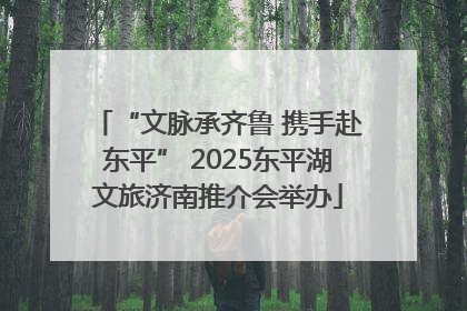“文脉承齐鲁 携手赴东平” 2025东平湖文旅济南推介会举办