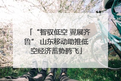 “智驭低空 翼展齐鲁” 山东移动助推低空经济蓄势腾飞