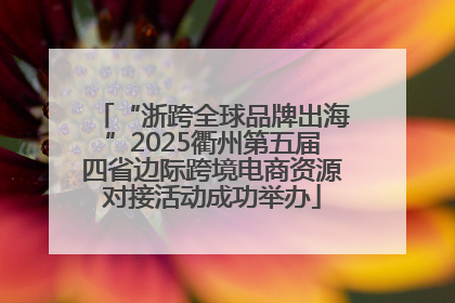 “浙跨全球品牌出海”2025衢州第五届四省边际跨境电商资源对接活动成功举办