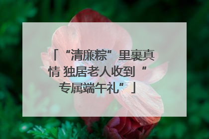 “清廉粽”里裹真情 独居老人收到“专属端午礼”