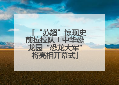 “苏超”惊现史前拉拉队！中华恐龙园“恐龙大军”将亮相开幕式