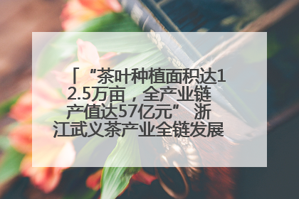 “茶叶种植面积达12.5万亩，全产业链产值达57亿元” 浙江武义茶产业全链发展“加速度”