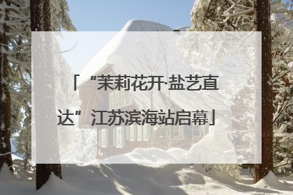 “茉莉花开·盐艺直达”江苏滨海站启幕